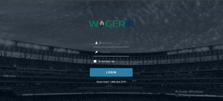 Wager81: Decoding the Online Enigma
