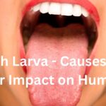 Mouth Larva