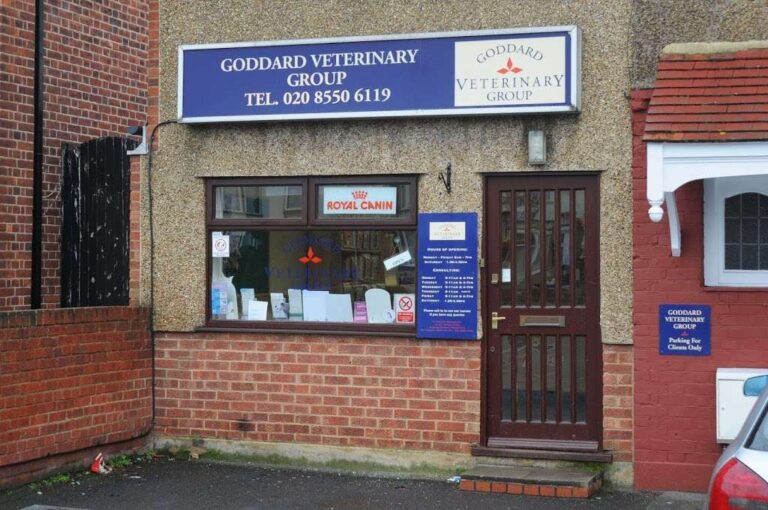 Goddard Veterinary Group Chalfont St Peter Lower Road Chalfont Saint Peter Gerrards Cross: Comprehensive Pet Care at Your Doorstep