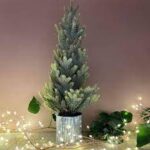 Christmas trees for small spaces