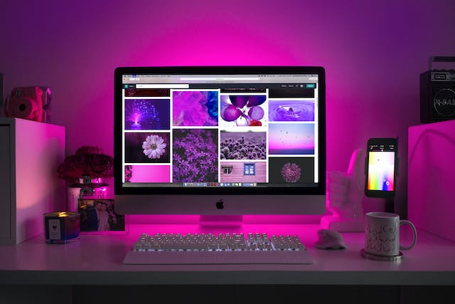 Web App Development Services in USA