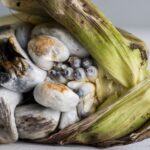 Unveiling the Delicacy: Exploring the Wonders of Huitlacoche