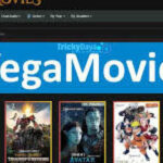 Vegamovies APK: A User's Guide to Safe Downloads
