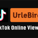 Urlebird: Unveiling the Anonymous TikTok Experience