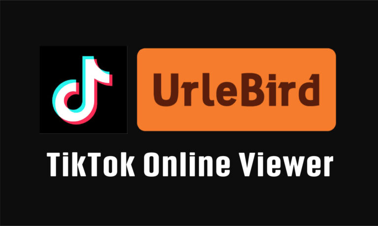 Urlebird: Unveiling the Anonymous TikTok Experience