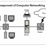 User Guide to Understand What Network He Used