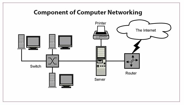 User Guide to Understand What Network He Used