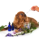 istockphoto-1344248214-170667a