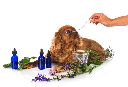 istockphoto-1344248214-170667a