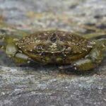 unnamed (18)