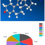 Balancing Medication Strength: Exploring Steroid Equivalents