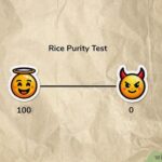 Rice Purity Test