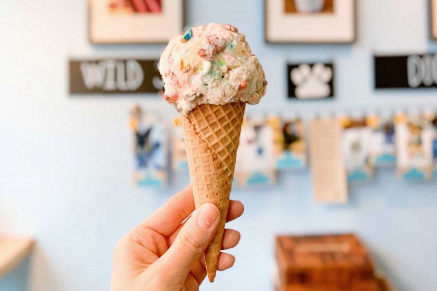 Ice Cream Cone