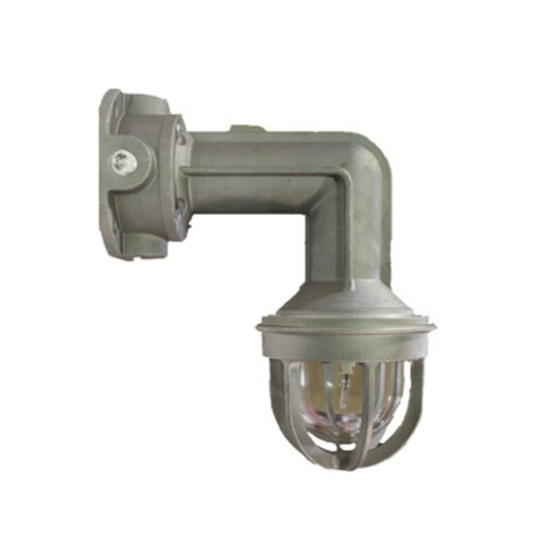 Strobe Light-Wall Mount-Explosion Proof-Clear Lens LSEX-24WMC