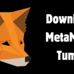 Download MetaMask Tumbl
