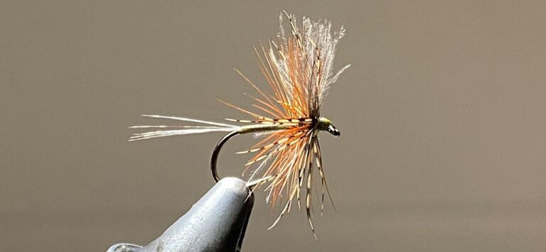 Which Flies to Catch Trout in November UK